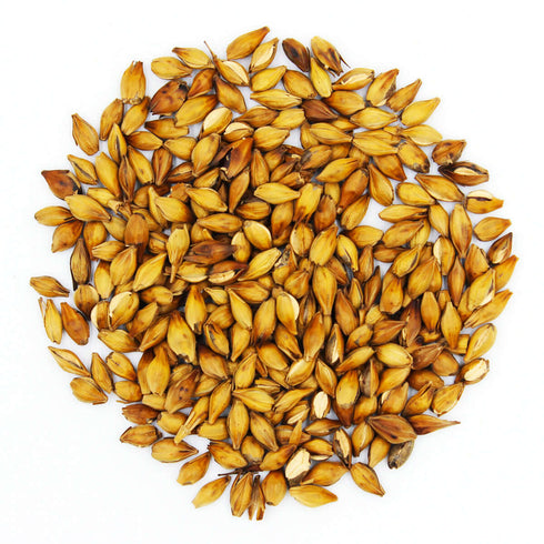 Roasted Barley - Gut Health Tea